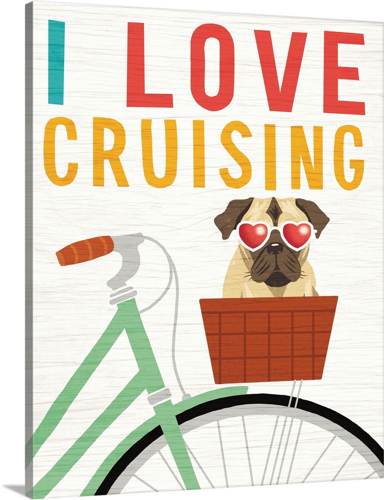 "I Love Cruising" illustration of a pug in the basket of a bicycle wearing heart shaped sunglasses on a white wood grain b...