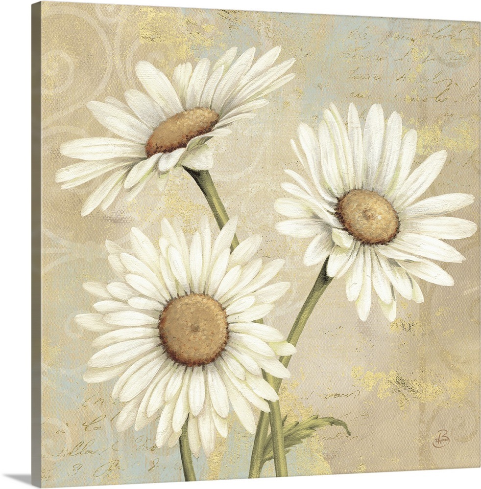 Beautiful Daisies I Wall Art, Canvas Prints, Framed Prints, Wall Peels ...