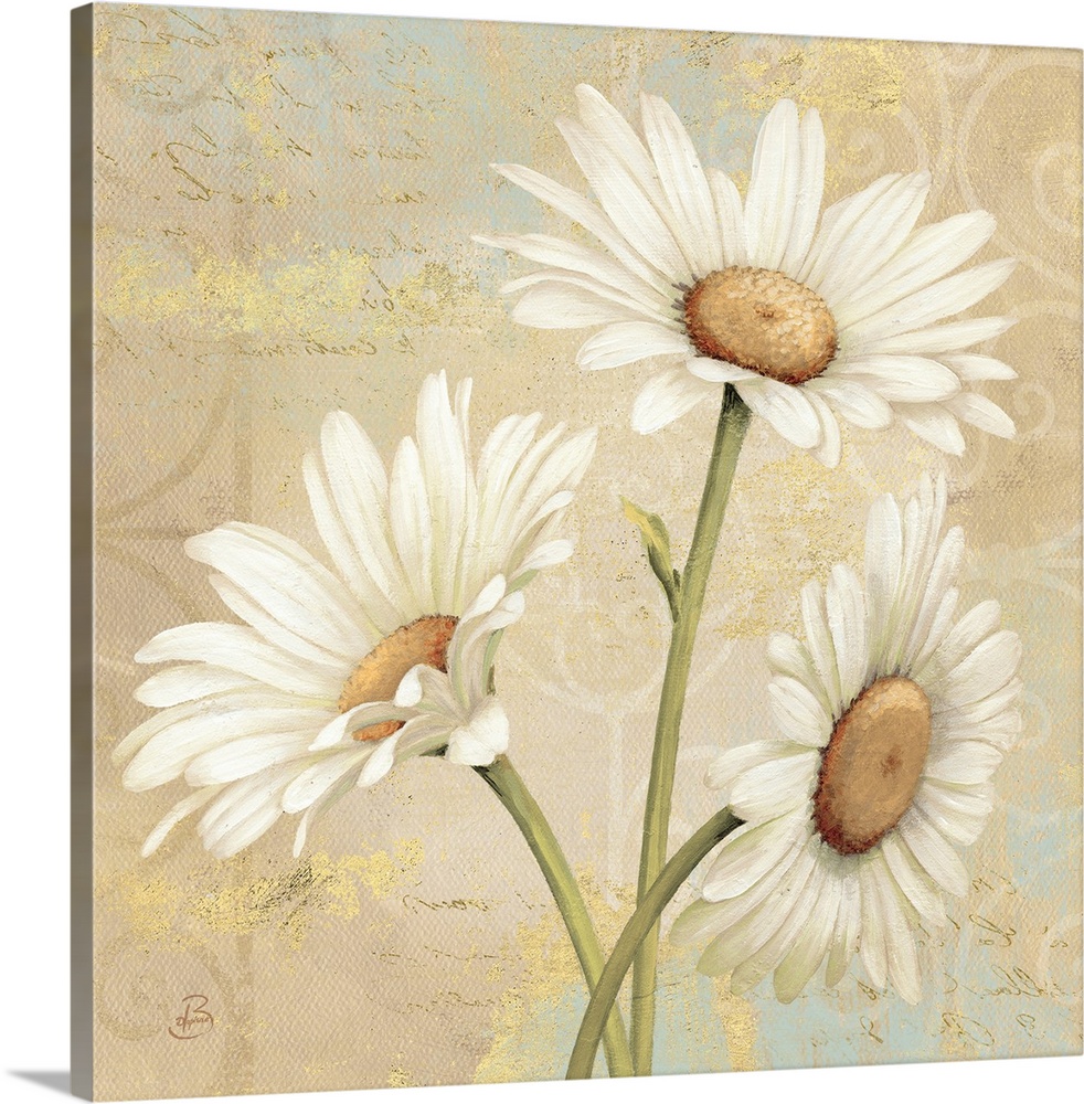 Square, large floral art docor of three daisies on a collaged background of patchy neutral and golden colors, and various ...