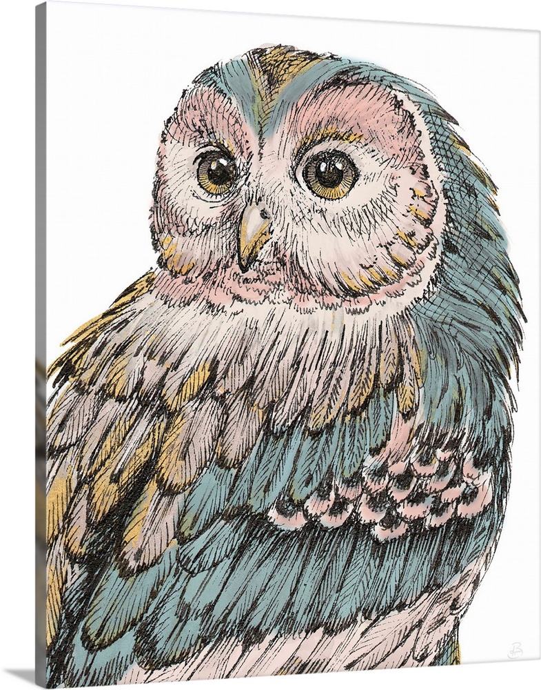 Beautiful illustration of an owl using pastel colors and gold accents.