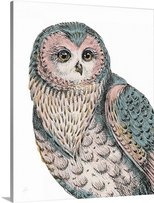 Beautiful Owls IV Pastel