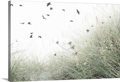 Birds Flying South