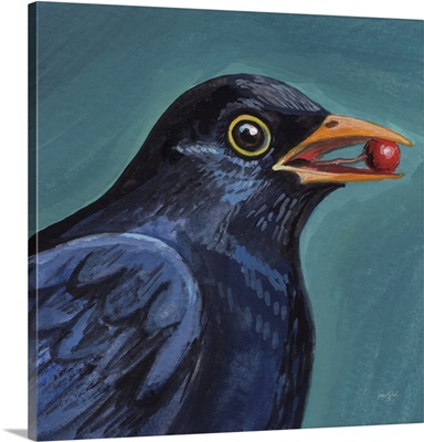 Black Bird With A Berry