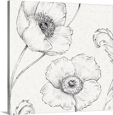 Blossom Sketches I