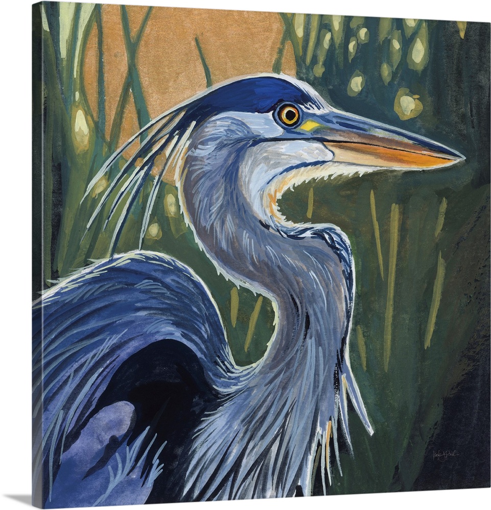 Blue Heron Backlit In Morning