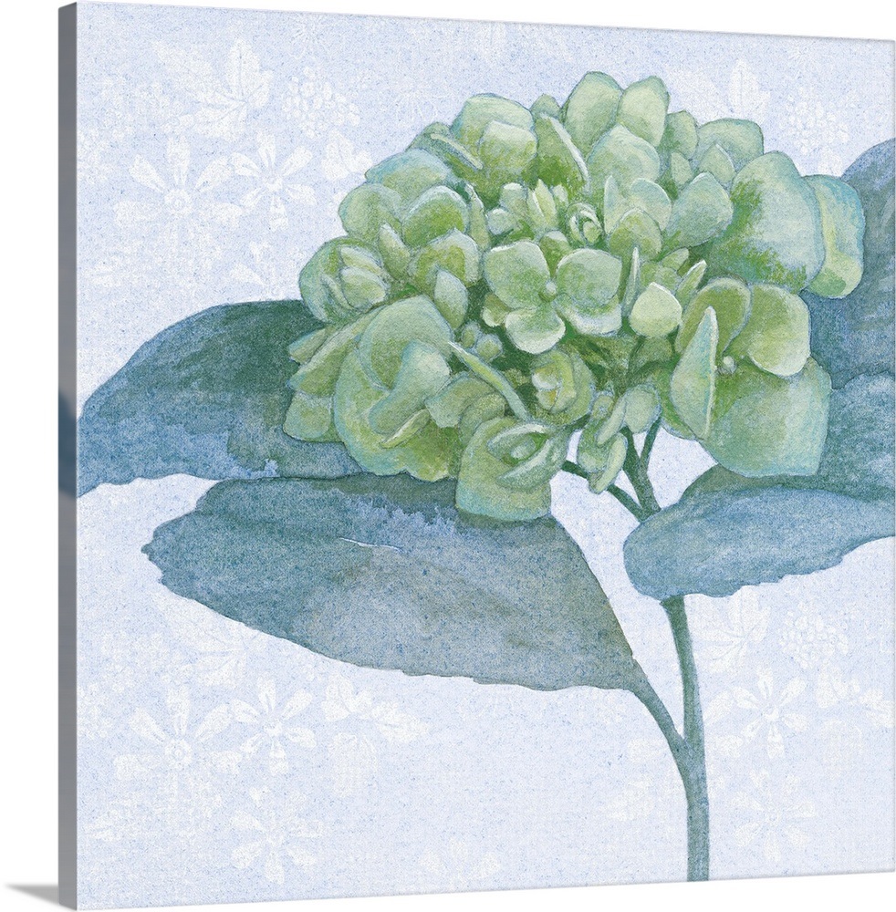 Blue Hydrangea II Wall Art, Canvas Prints, Framed Prints, Wall Peels