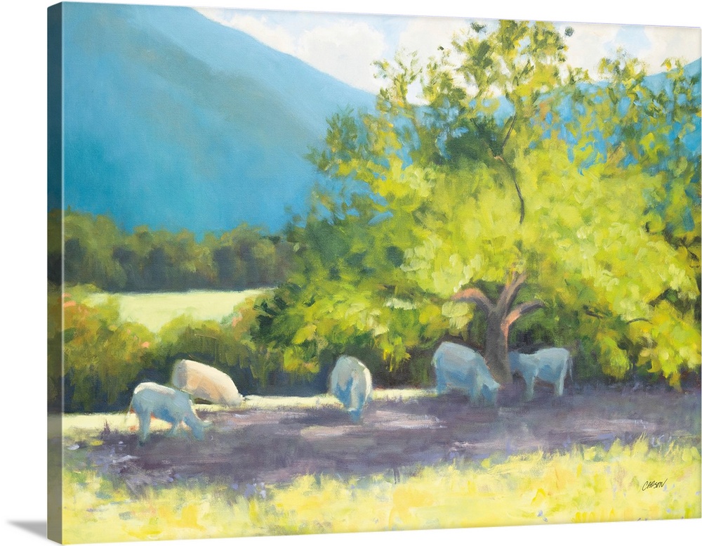 Blue Ridge Cows Grazing