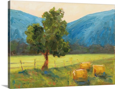 Blue Ridge Hay Bales