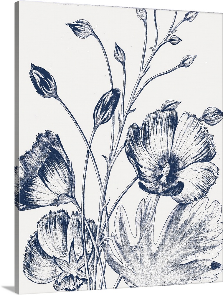 Decorative image of dark blue poppies on a white background.