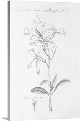 Botany Book IX