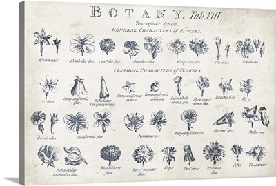 Botany Tab VIII Indigo and White