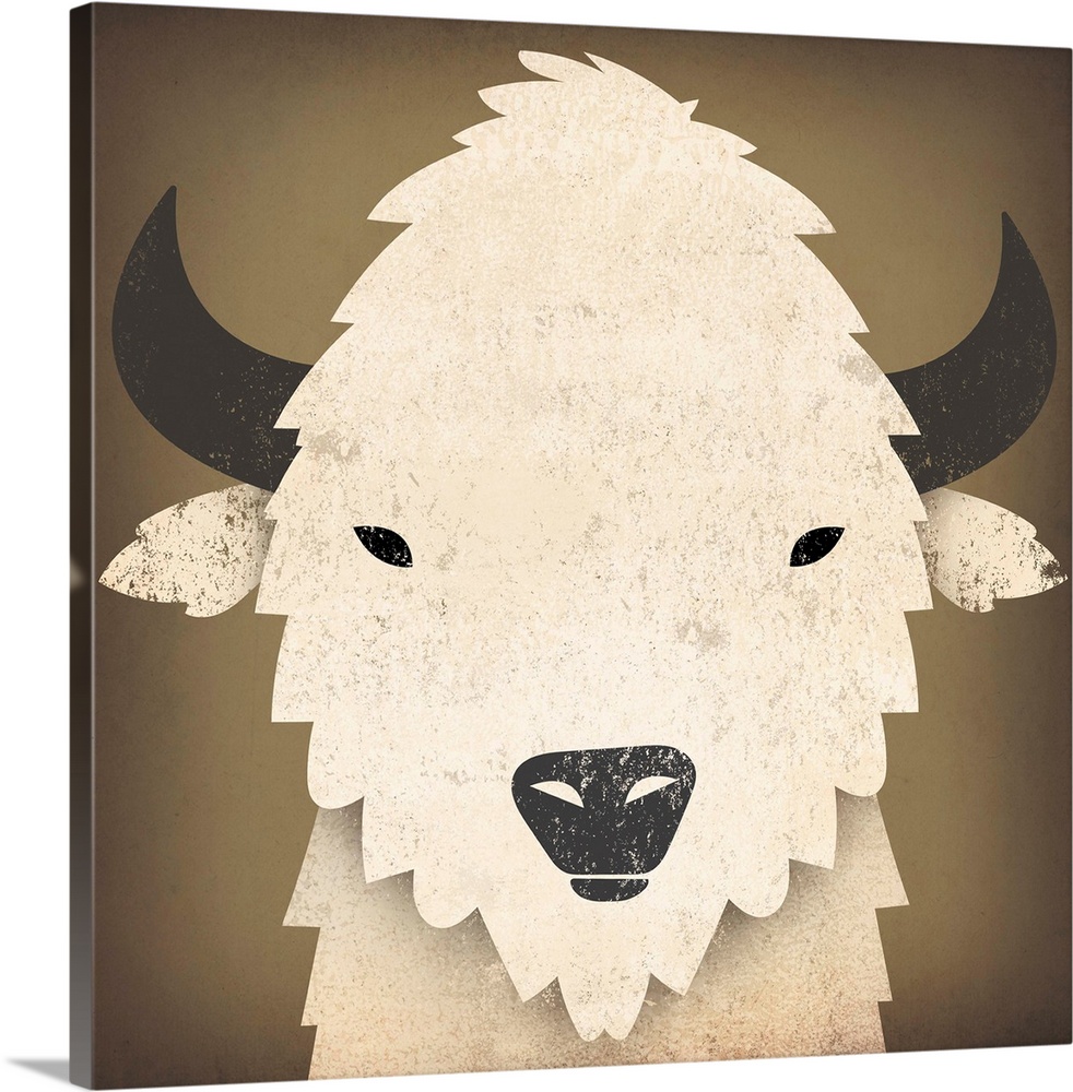 Cute portrait of a white buffalo with black horns and nose.