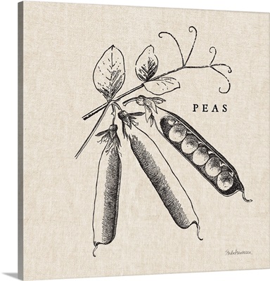 Burlap Vegetable BW Sketch Peas