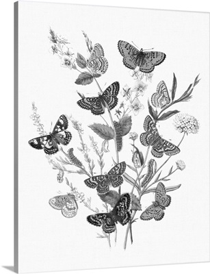 Butterfly Bouquet I Linen BW I