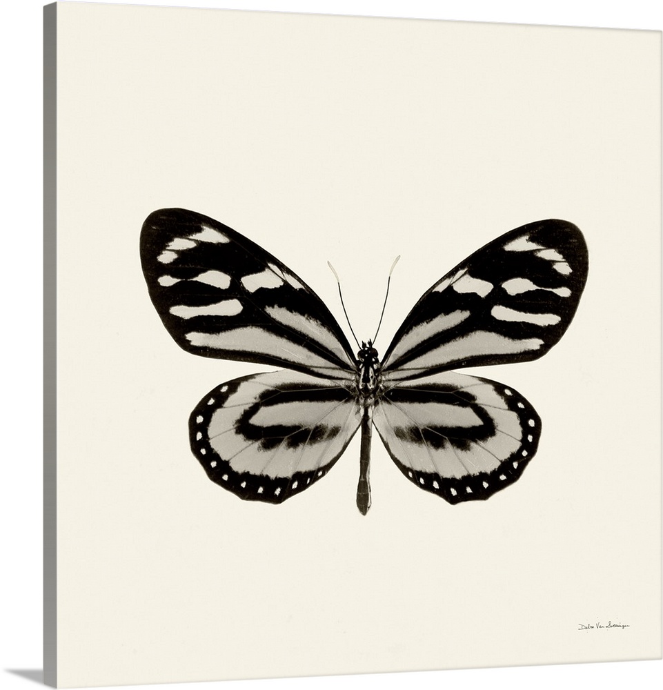 Contemporary artwork of a butterfly against a cream toned surface.