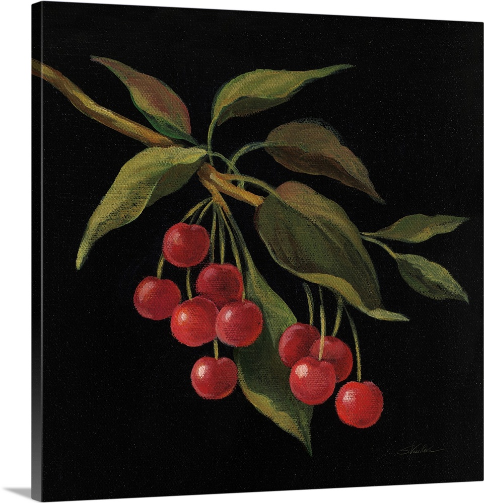Square painting of cherries on the vine with a solid black background.