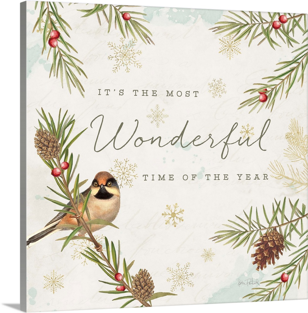 A square holiday design of a bird perched on a pine branch with the text "It's The Most Wonderful Time Of The Year" on a b...