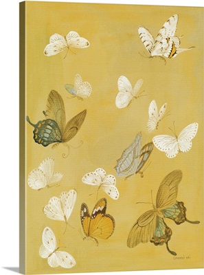 Chrysanthemum Butterflies