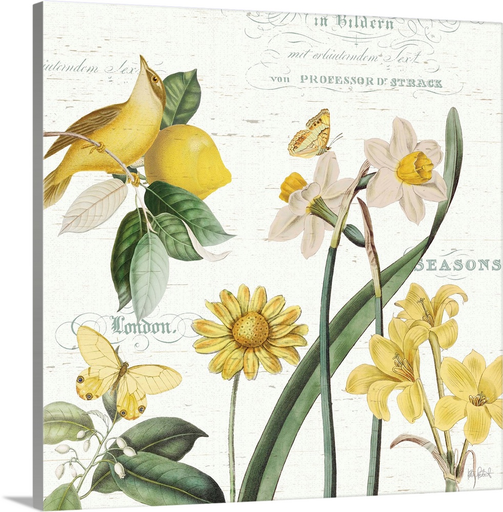 Square decor in white, yellow, and green with illustrations of a bird, lemon, butterflies, and flowers on a white backgrou...