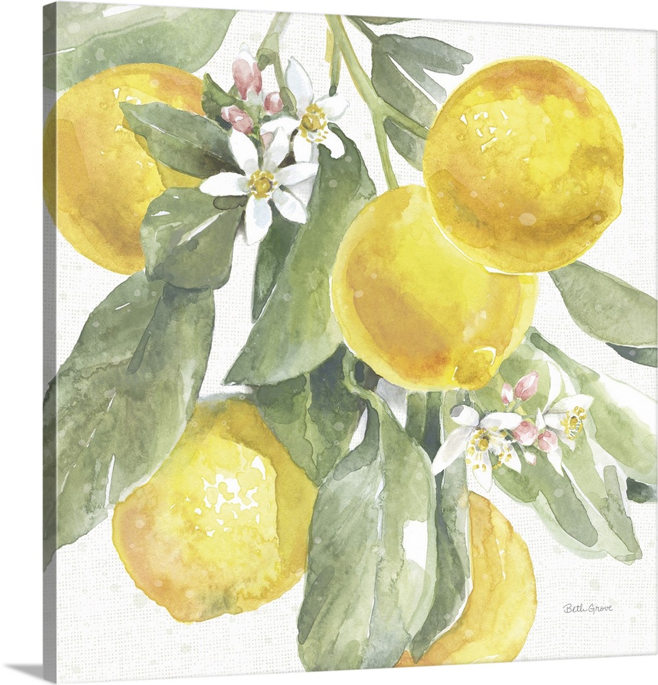 Citrus Charm Lemons II