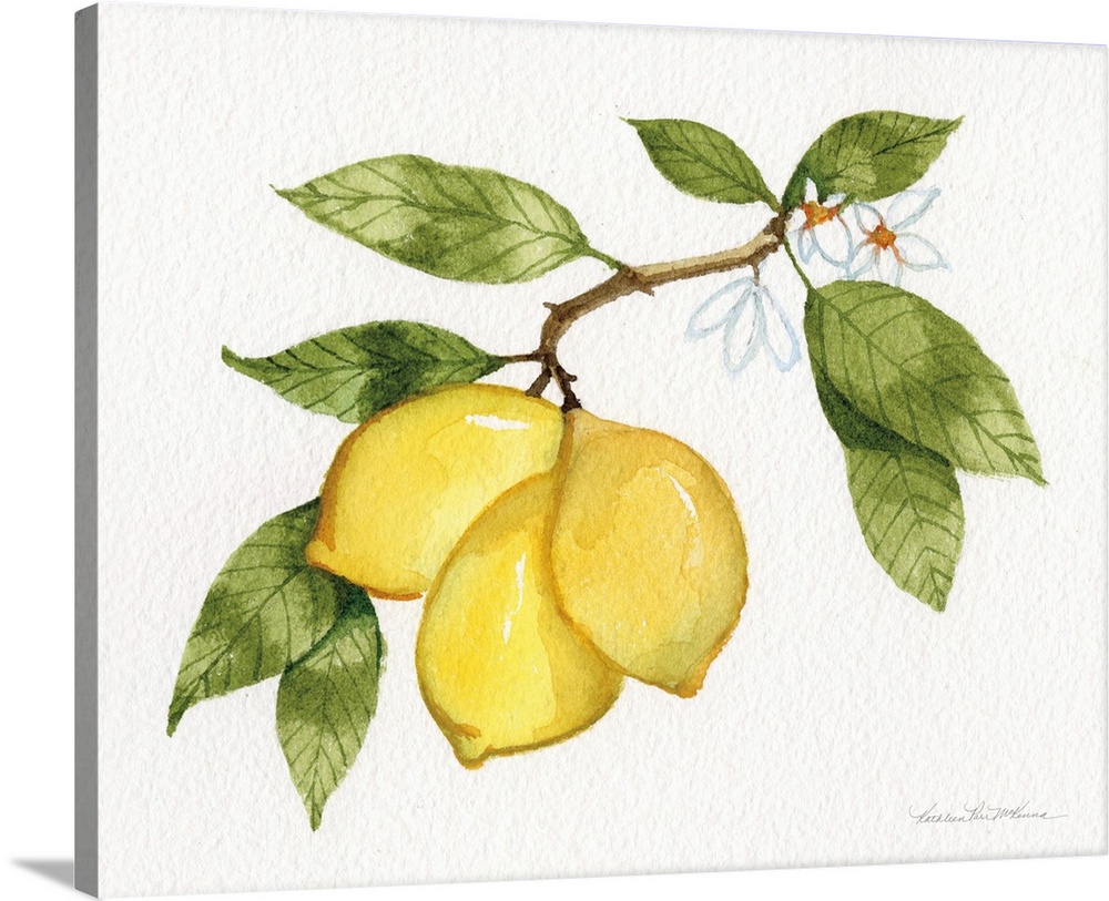 Contemporary artwork of a branch of lemons on a neutral backdrop.