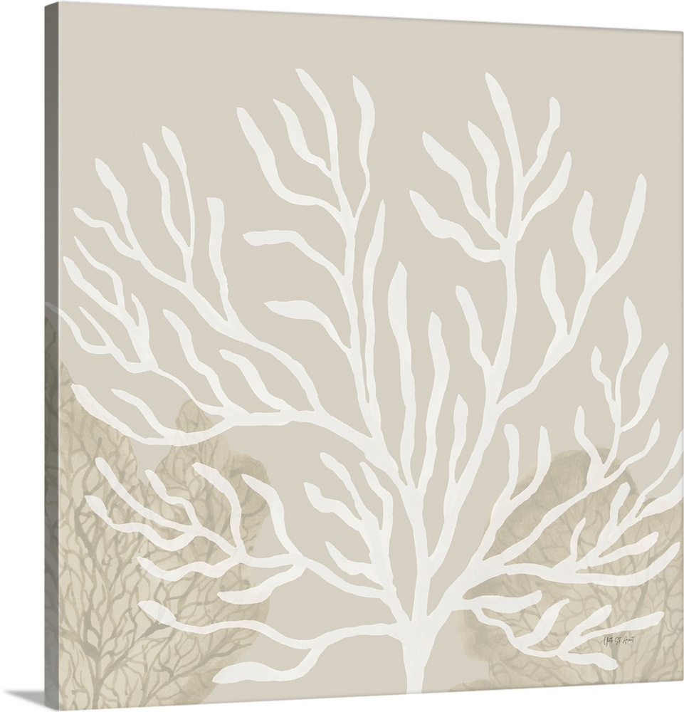 Coastal Reef VI