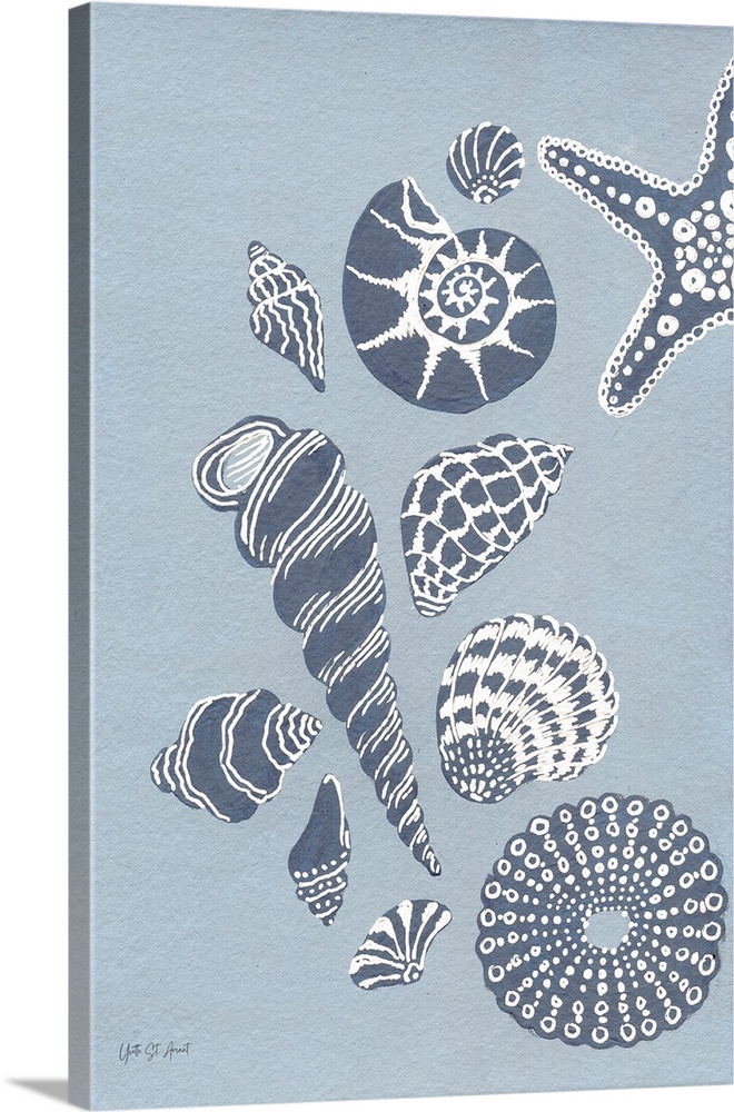 Coastal Shells I