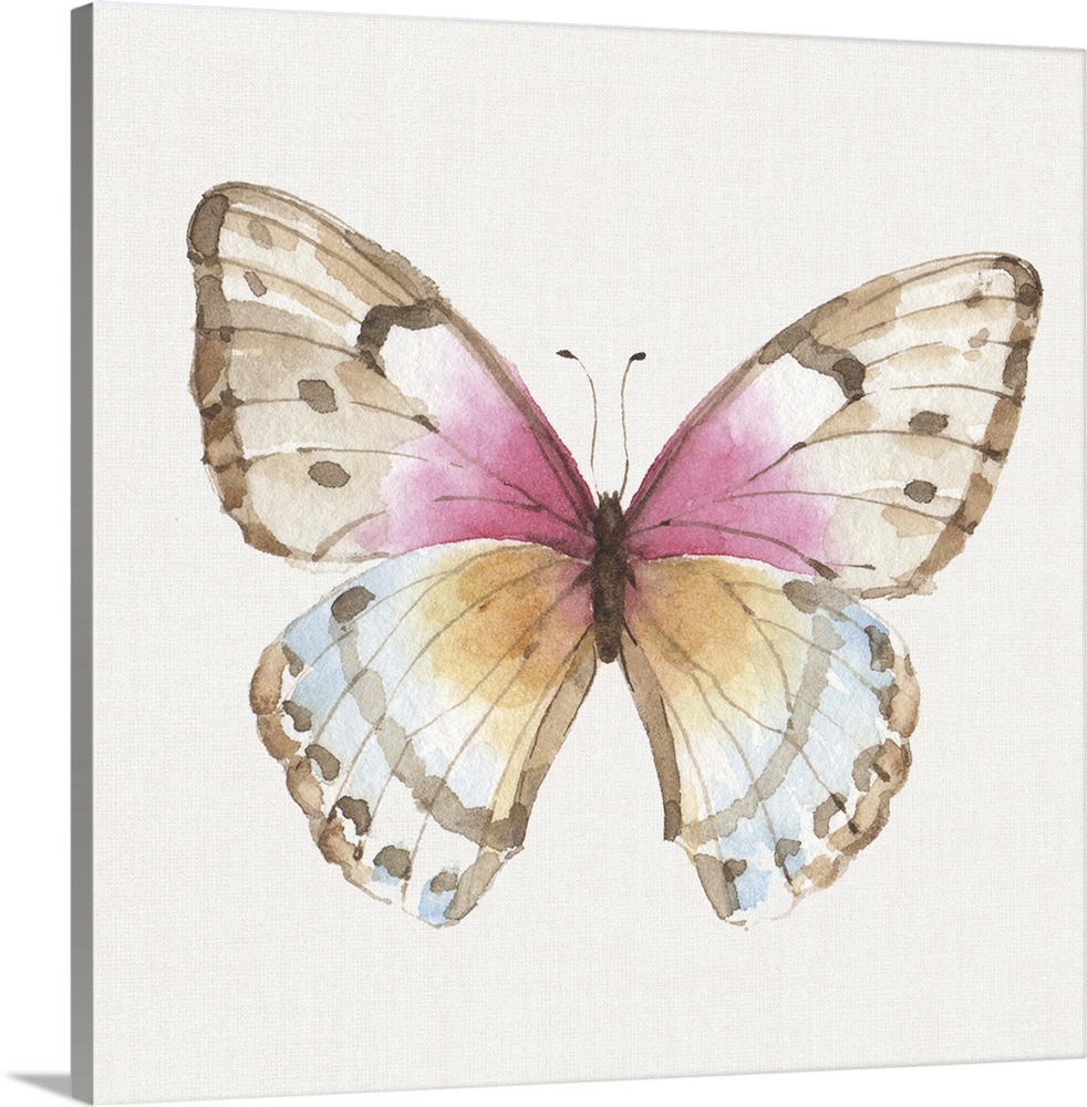 Contemporary artwork of a butterfly with pink, blue and orange in the wings.