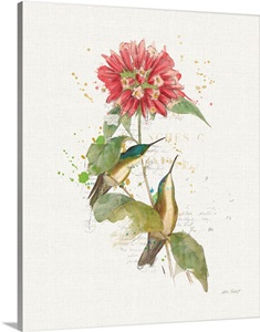 Colorful Hummingbirds I Wall Art, Canvas Prints, Framed Prints, Wall 