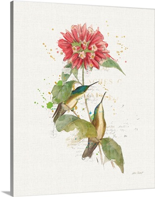 Colorful Hummingbirds I