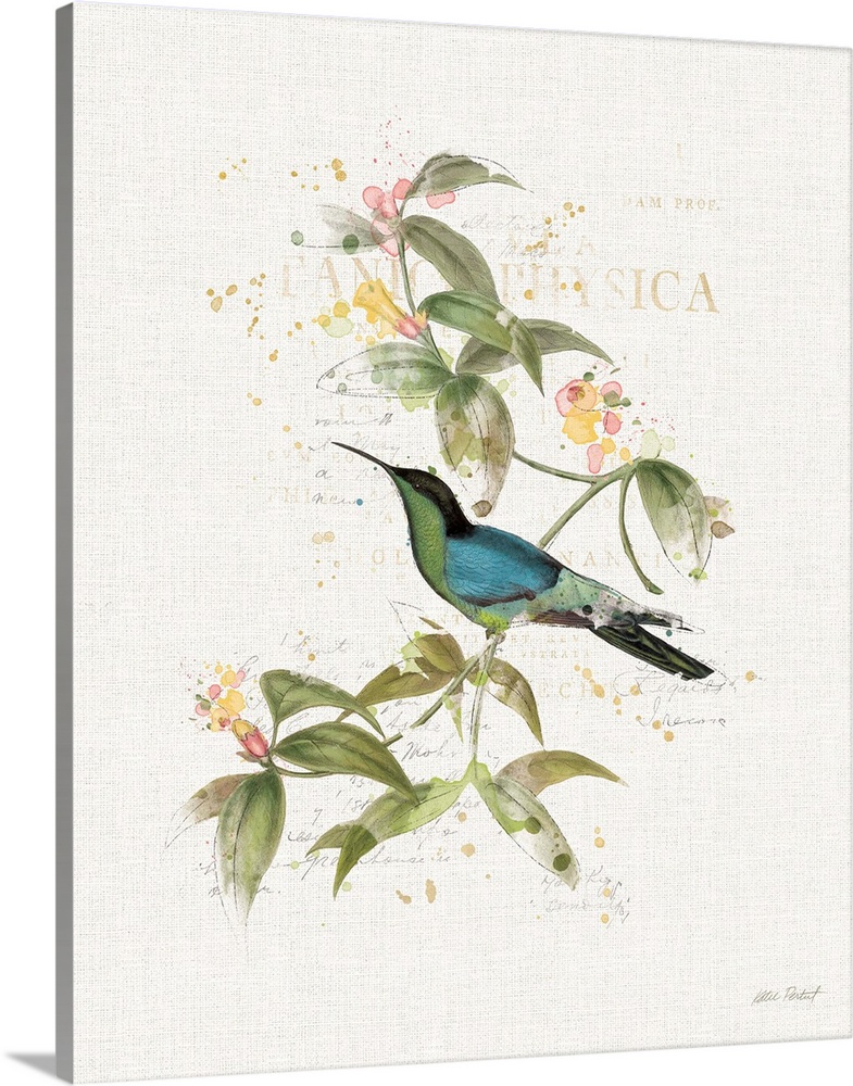 Watercolor painting of a blue and green hummingbird perched on a branch with flowers and paint splatter and faded text in ...