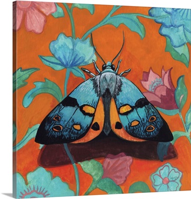 Colorful Moth On Pattern