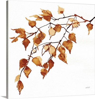 Colors Of The Fall VIII image thumbnail