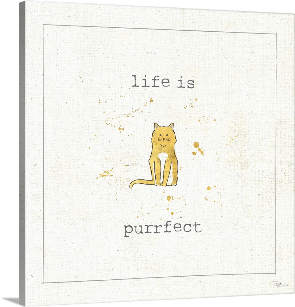 "Life is Purrfect"