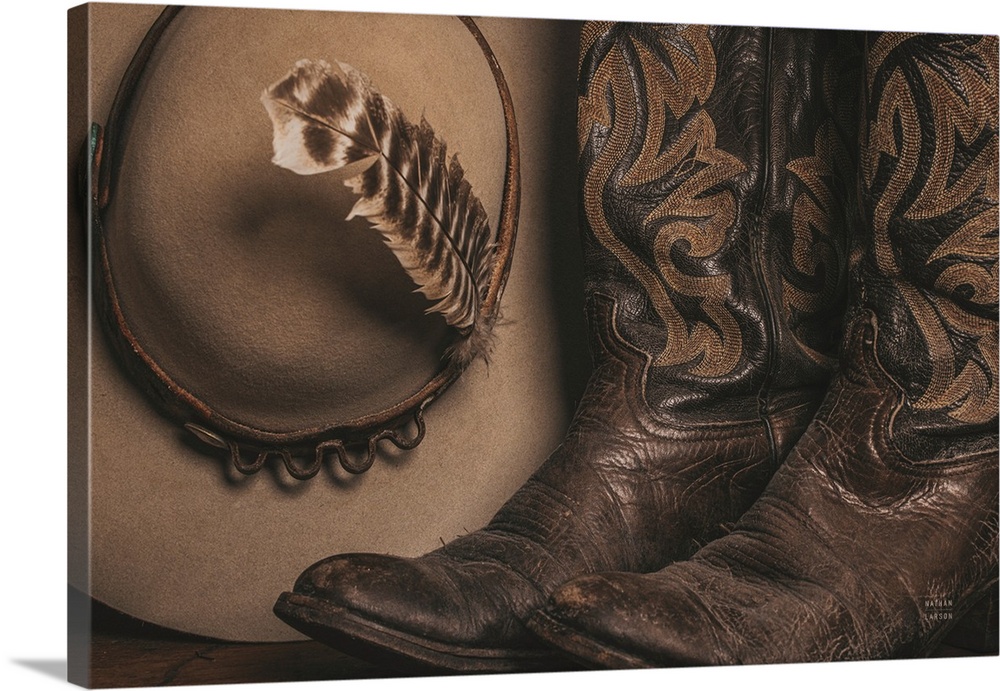 Cowboy Boots VI