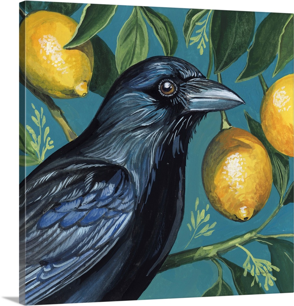 Crow With Lemon Backdrop