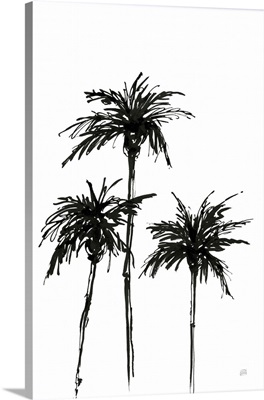 Dark Palms I