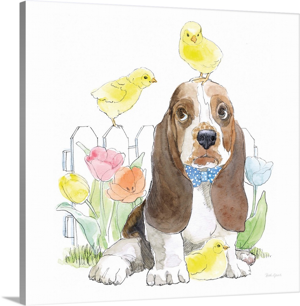 Easter themed watercolor illustration of a Basset Hound with three yellow chicks and Spring tulips.