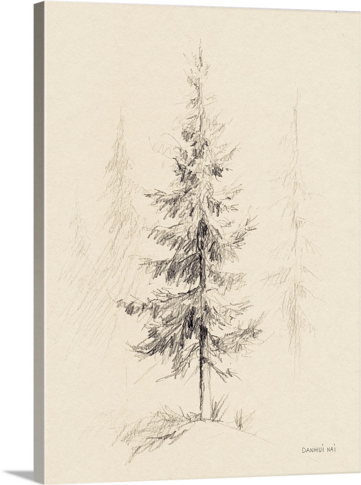 Elegant Pine I
