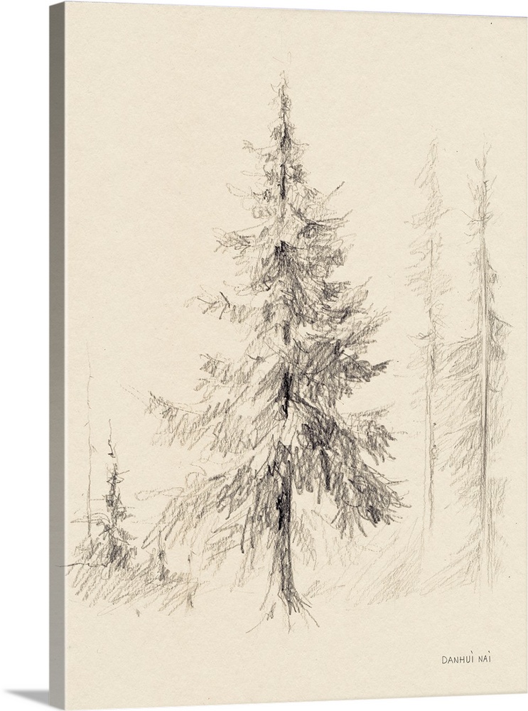Elegant Pine II