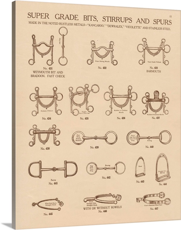 Equine Riding Gear I v2 Great Big Canvas