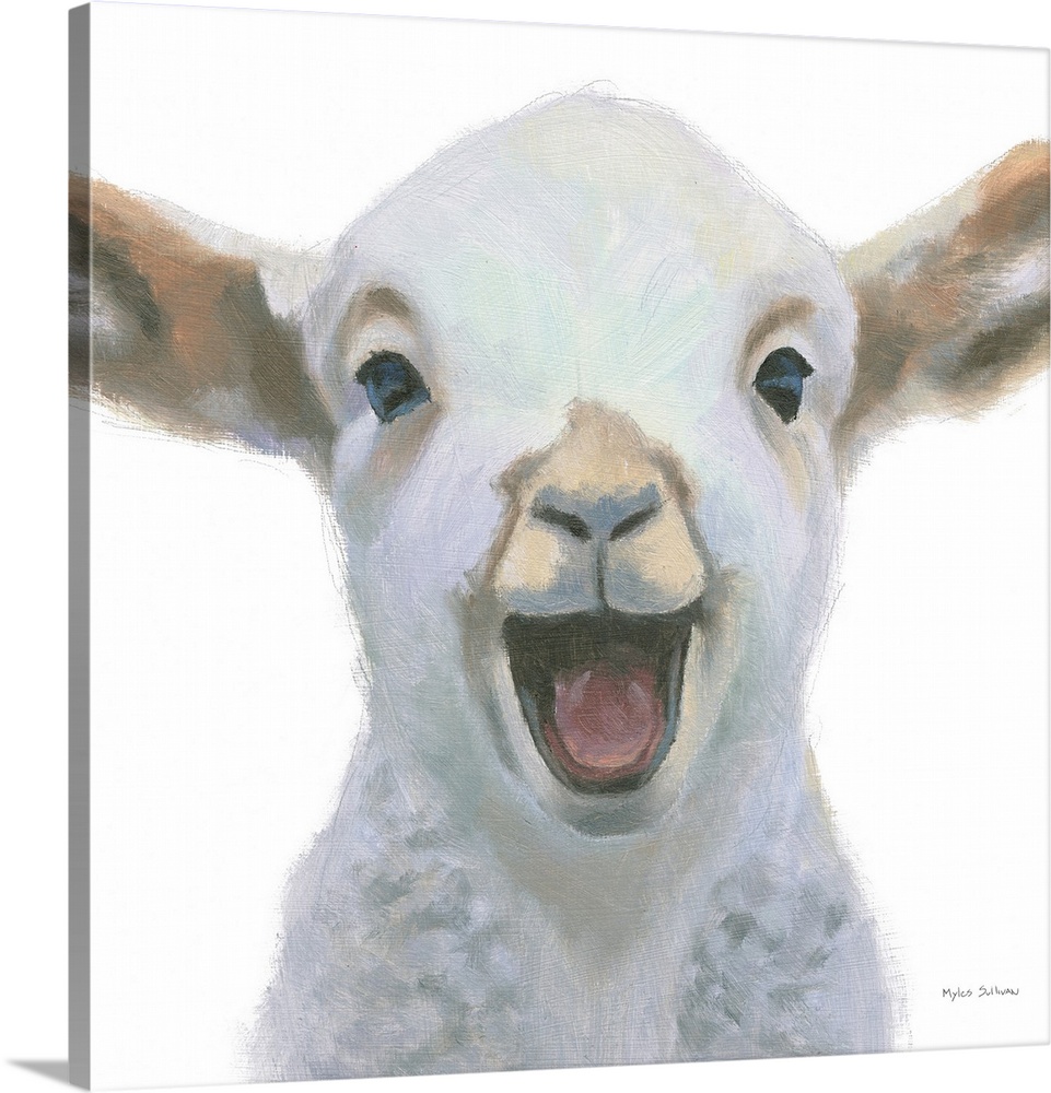 A delightful image of a baby lamb smiling on a white background.