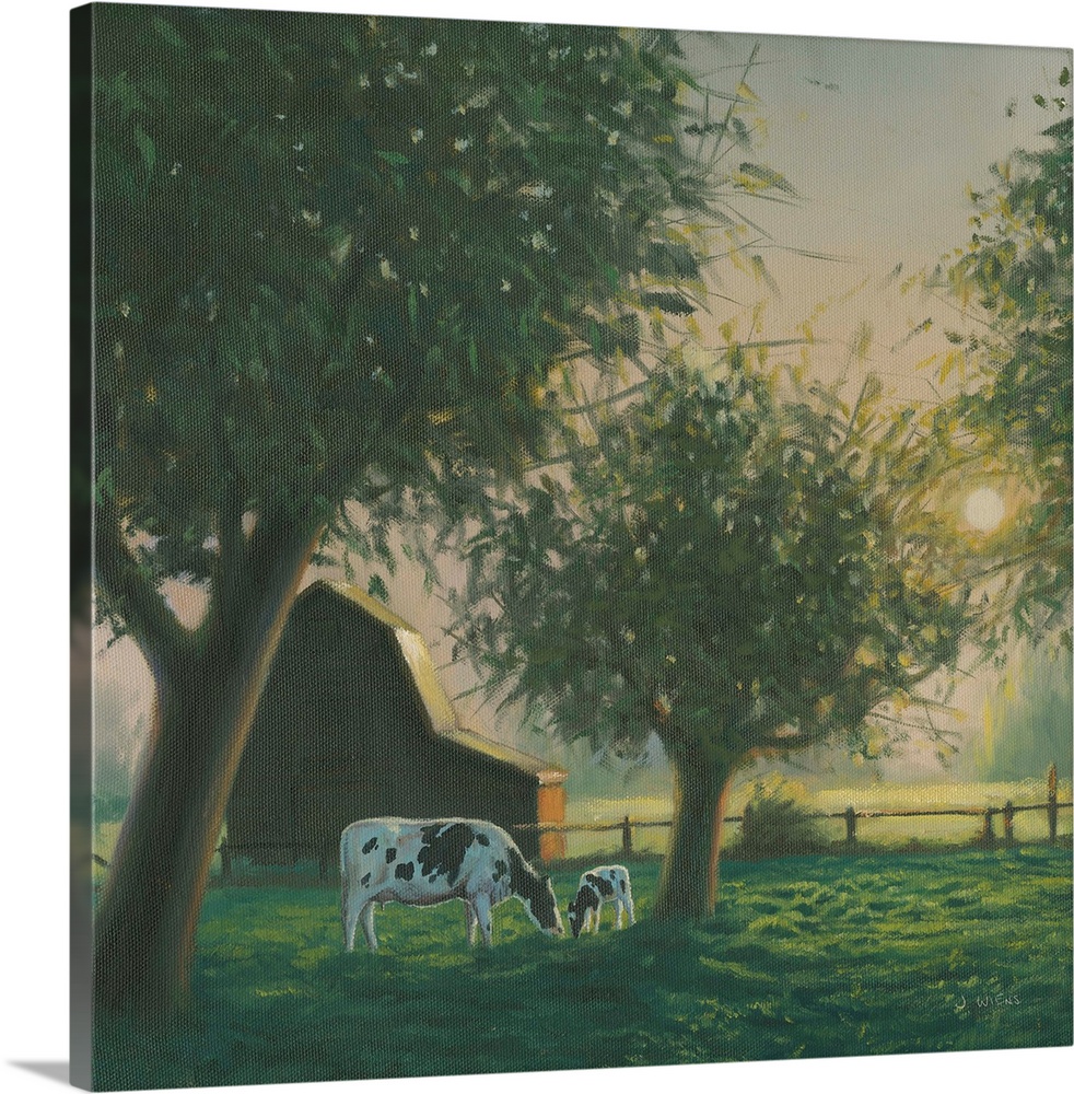 Square painting of a farm scene with grazing cows and a barn at sunset.