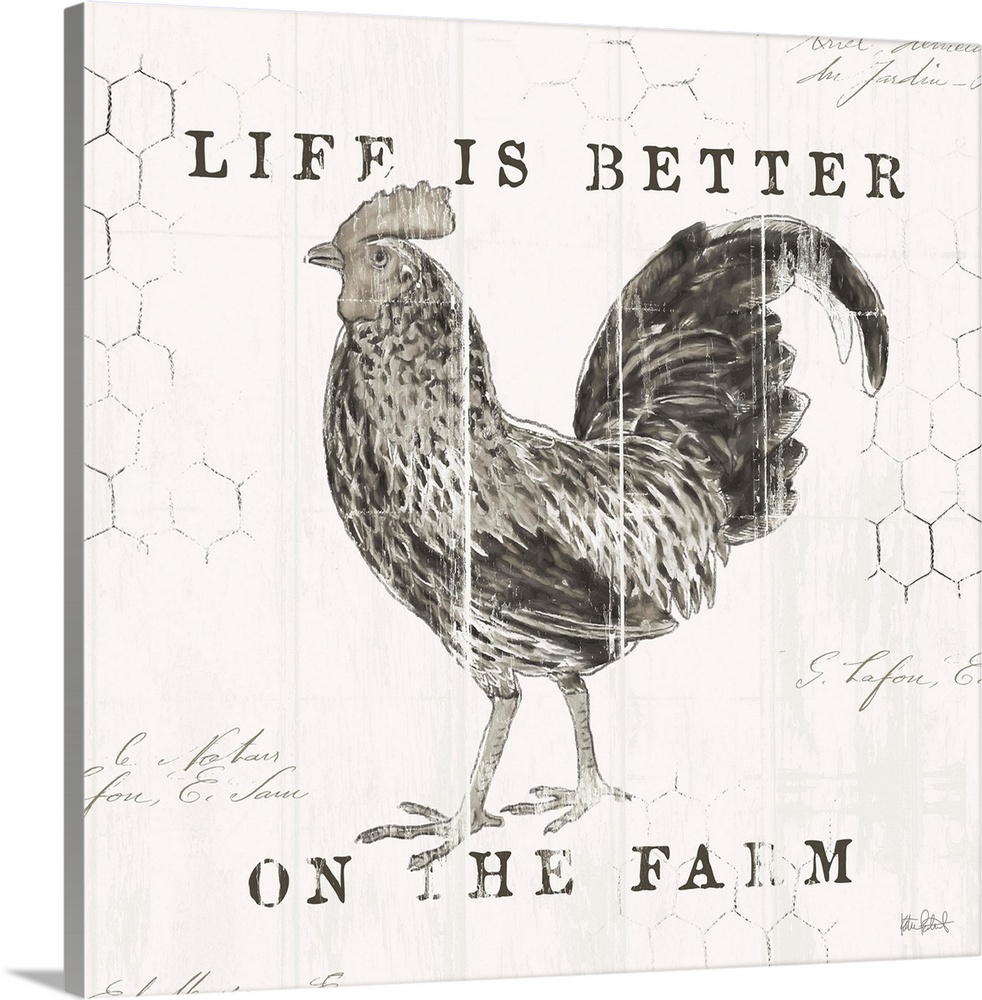 A distress design of "Every Home Needs Chickens" with a chicken drawing and chicken wire in the background.