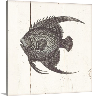 Fish Sketches IV Shiplap