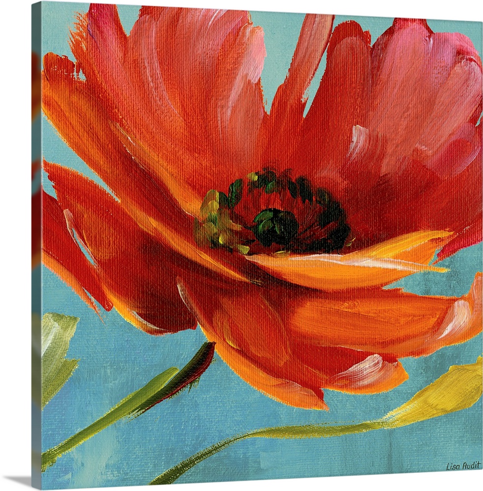 Single poppy bloom dominates the entirety of this square shaped wall art of a contemporary painting.