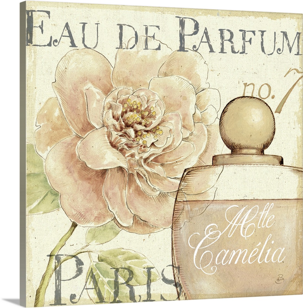 Decorative drawing of a perfume bottle from Paris with a large pink peony flower blooming in the background.