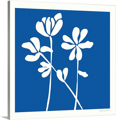 Fleurs De Matisse II