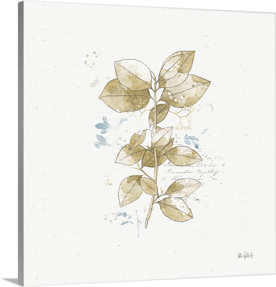 Square collage art that has a beige watercolor branch with leaves and faint script on the background with a few small blue...
