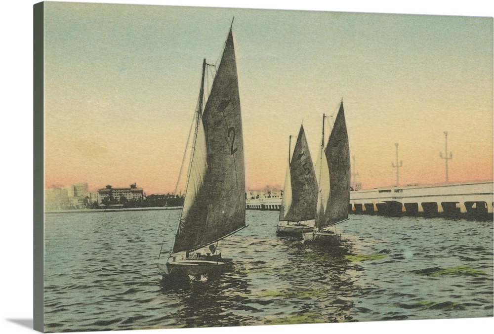 Florida Postcard I